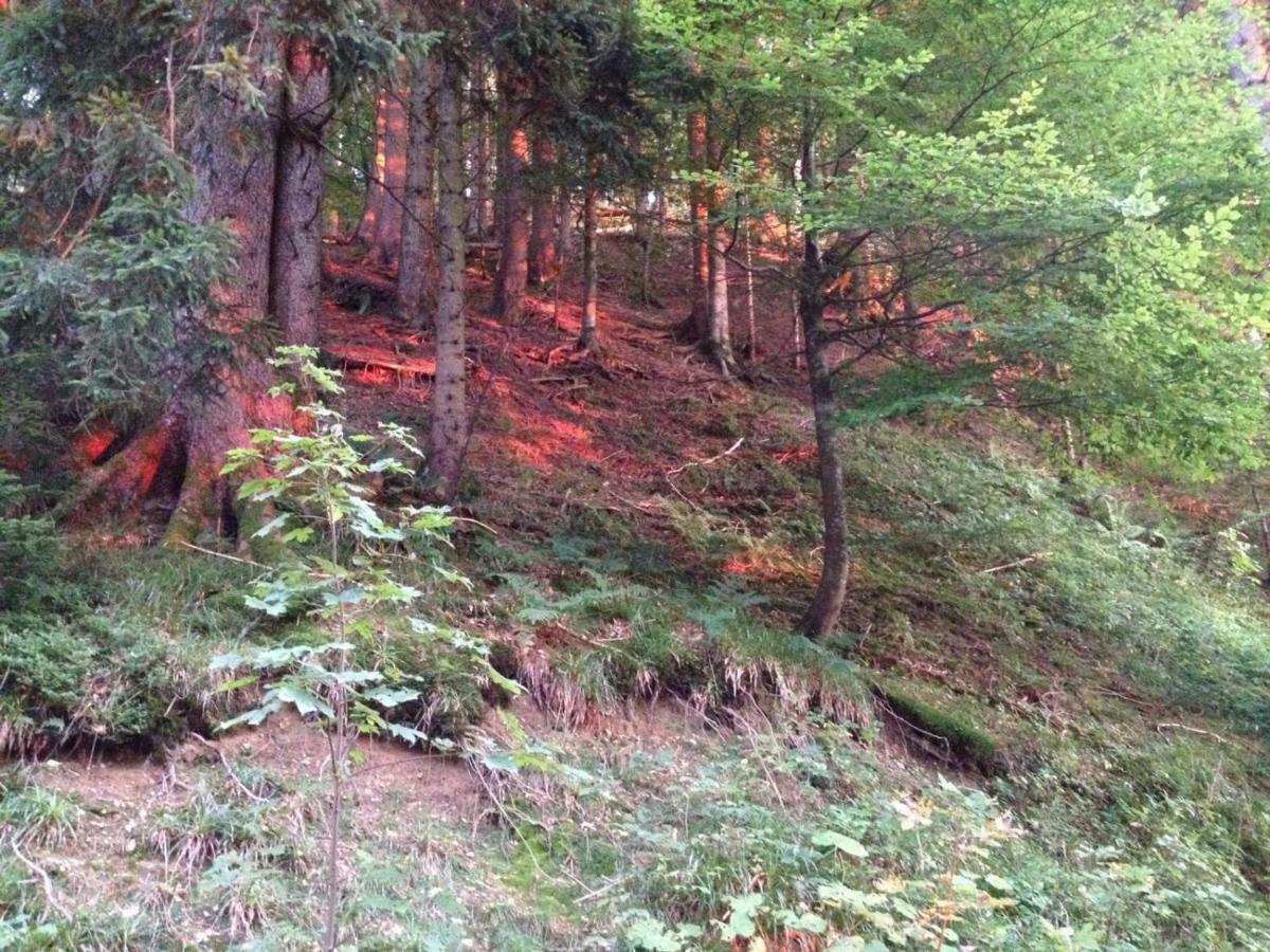 Ferienwohnung Ausblick Missen-Wilhams Exteriör bild